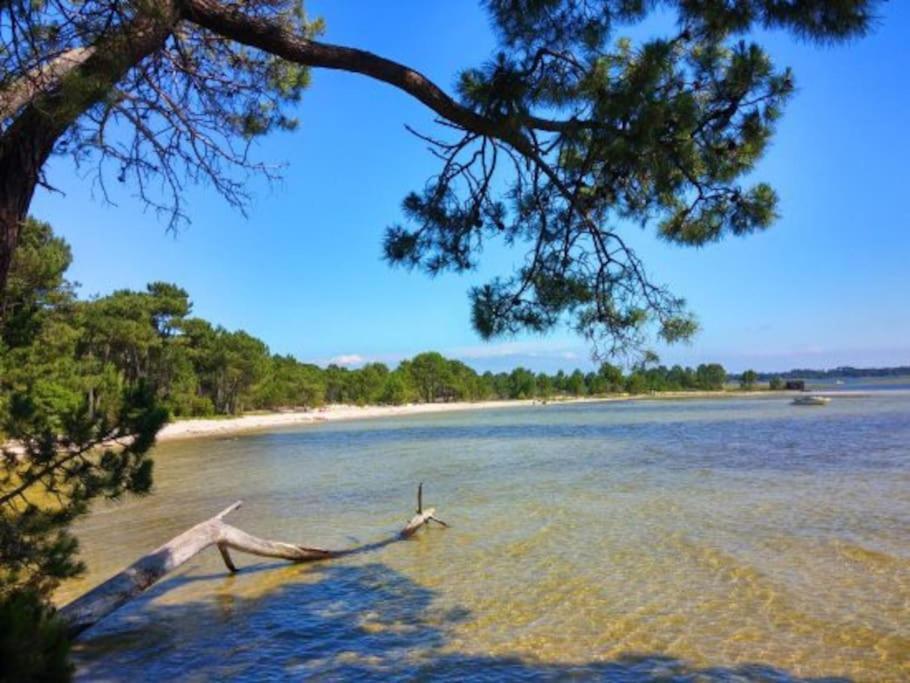 La Petite Landaise Villa Sanguinet Luaran gambar
